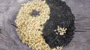 Как Выращивать  Кунжут В Домашних Условиях