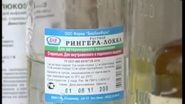 Доктор Айболит смотреть онлайн