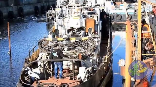 Судоремонт судов и обслуживание катеров и яхт в плавучем доке, Док-3, в Киевском речном порту. смотреть онлайн