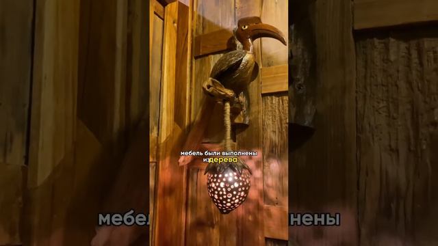 День рождения в Таиланде #кочевники #пхукет2023 #таиланд2023 смотреть онлайн