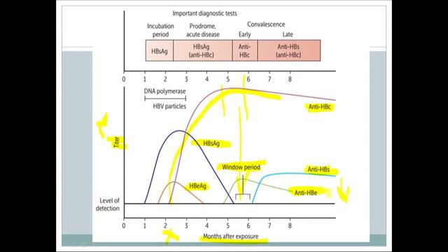 All you need to know about Hepatitis viruses смотреть онлайн