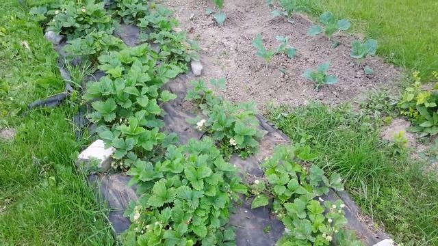 Женщина за 40. Дача. Ура! Длинные выходные! смотреть онлайн