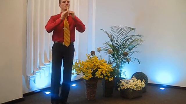 Сопилка (Удивительная благодать/Amazing grace) Куприенко Владимир смотреть онлайн