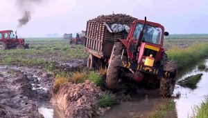 Трактор с прицепом застрял в болоте. Пробуем вытаскивать.