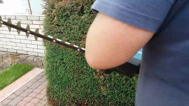 TEST MAKITA аккумуляторный кусторез MAKITA duh551 смотреть онлайн