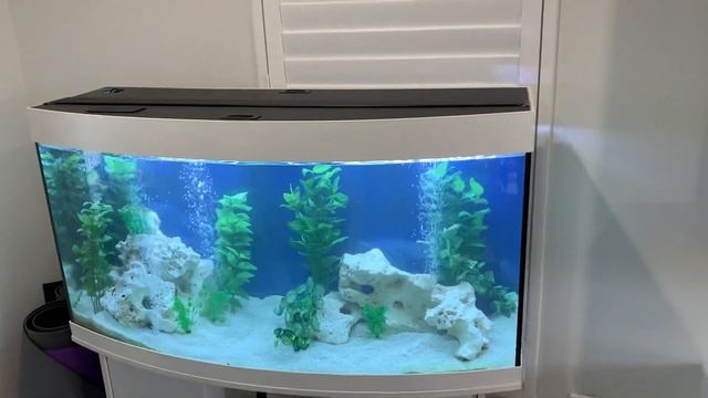 Setting up a Juwel aquarium смотреть онлайн