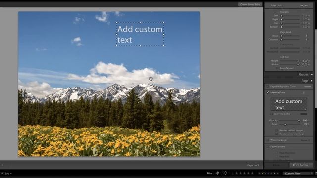 How to Add Text in Lightroom смотреть онлайн