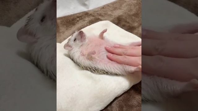 релакс смотреть онлайн