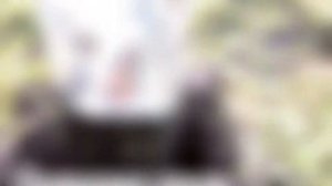 Строительство коровника на 100 голов скота