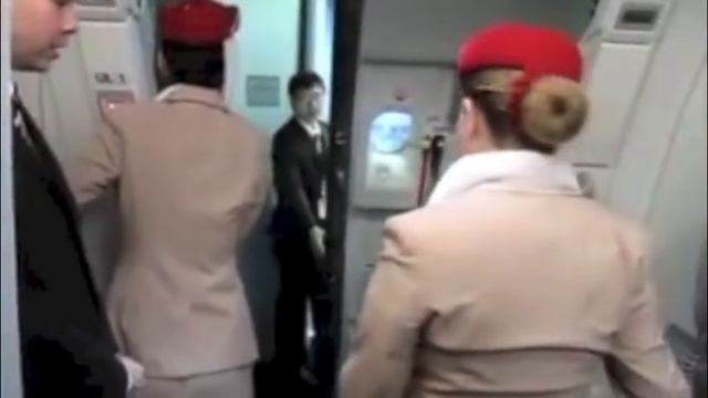 Airbus A380 electrical Passenger Door Examples смотреть онлайн