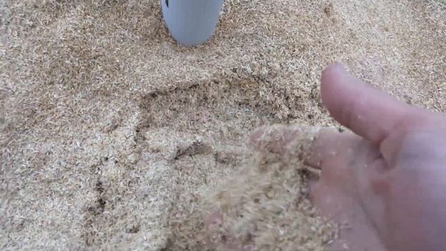 Защита грецкого ореха от морозов смотреть онлайн