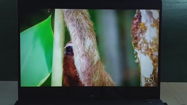 2022 YILINDA HUAWEI MATEBOOK 14 2020 ALINIR MI ? (Teknik bilgi değil kullanıcı deneyimi) смотреть онлайн