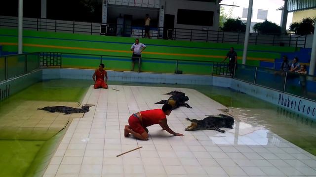 Шоу с крокодилами, о. Пхукет, Тайланд смотреть онлайн