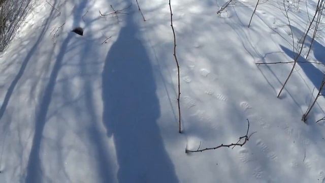 солонец для зайца.03.02.22 смотреть онлайн