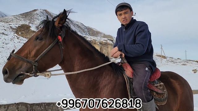 КОСМОС КОЙГО ТАШТАДЫ КЕЧЕ 😱 тобу күчтүү👍11 декабря 2022 г. смотреть онлайн