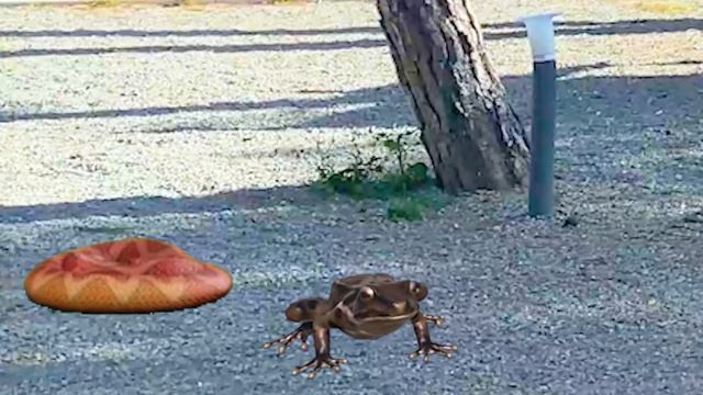 Софи и животные на детской площадке | Играем на детской площадке смотреть онлайн