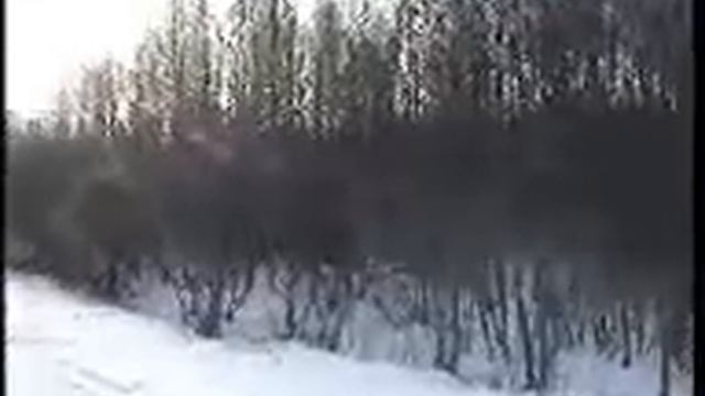охота на дикого секача в загоне смотреть онлайн