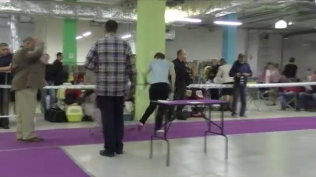 Джейн Эйр смотреть онлайн