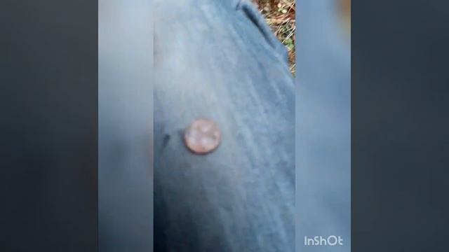 Поиск и находки с Ака кондор 3м. Завершение сезона. Гербовый орёл. Копаем по по снегу смотреть онлайн