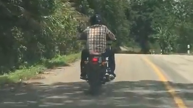 Змея бросилась на ехавшего по дороге мотоциклиста смотреть онлайн