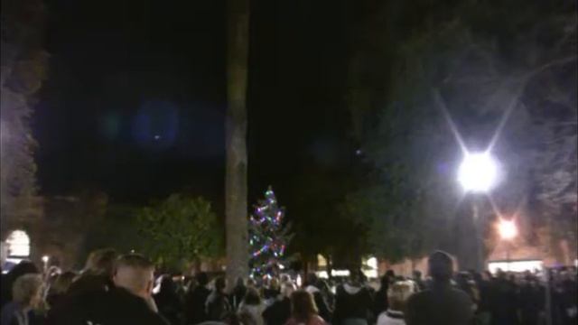 Healdsburg Tree Lighting смотреть онлайн