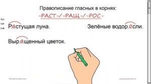 Русский язык. Гласные в корнях -РАСТ- / -РАЩ- / -РОС- с чередованием.