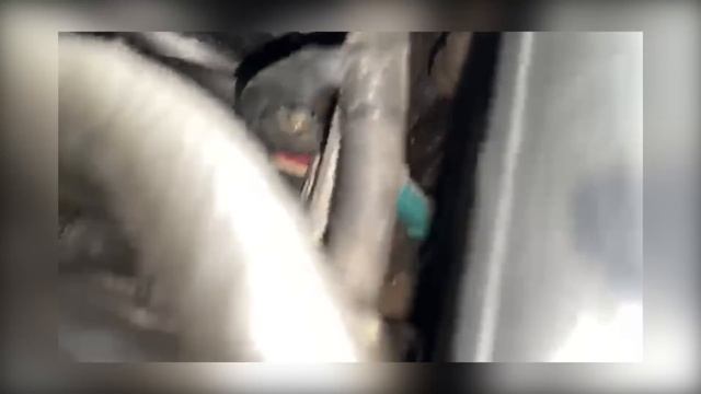 Типичная Toyota Camry. Кто покупает Toyota? Автопоиск74. смотреть онлайн