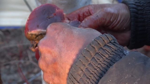 НАШЕЛ ДРЕВНИЙ РОГ ВОЗРАСТОМ 35 ТЫС ЛЕТ! ГОТОВИМ ДОБЫЧУ! смотреть онлайн