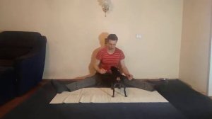 ДРЕССИРОВКА ЦВЕРГПИНЧЕРА| КОМАНДЫ СИДЕТЬ ЛЕЖАТЬ СТОЯТЬ| КАК ДРЕССИРОВАТЬ ЦВЕРГПИНЧЕРА