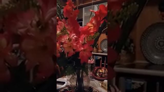 Замыкая Круг смотреть онлайн