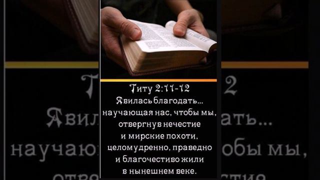 Чем старше я становлюсь,тем больше сознаю