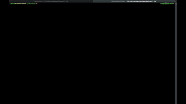FaceDetection using Python + openCV(HAAR CASCADE) with Live Implementation смотреть онлайн