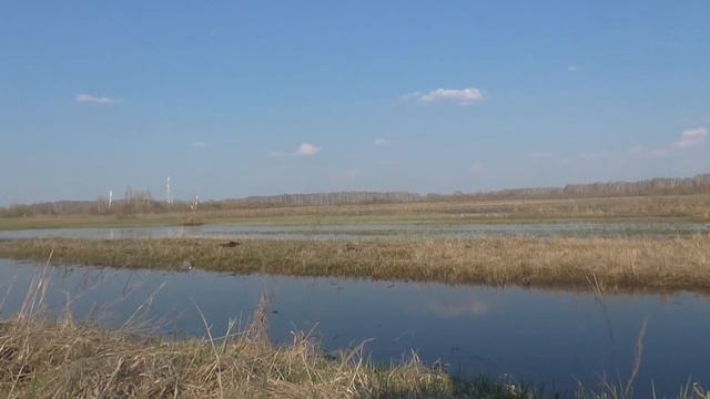 Nature Of Siberia смотреть онлайн