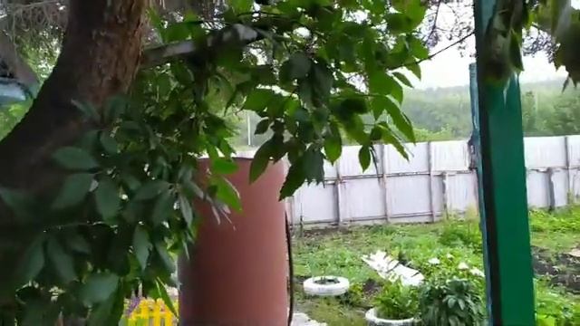 НОЧУЕМ НА ДАЧЕ смотреть онлайн