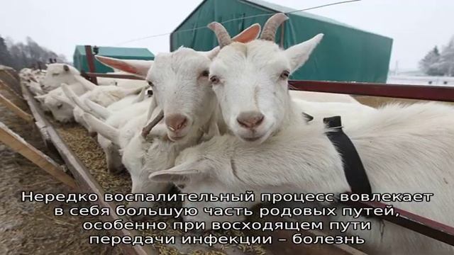 Дети - счастливые мгновения