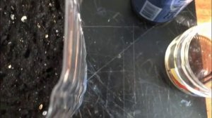 посадка семян-фитильный полив