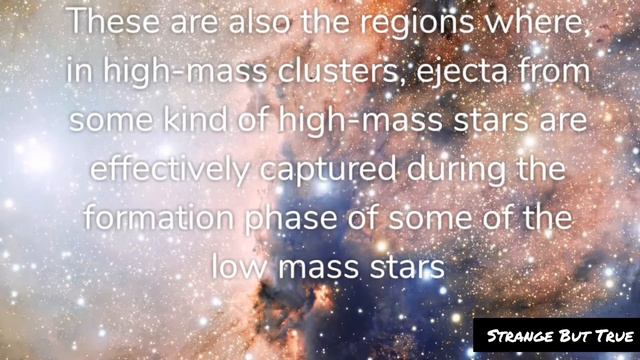 The Physics of Star Cluster Formation and Evolution... смотреть онлайн