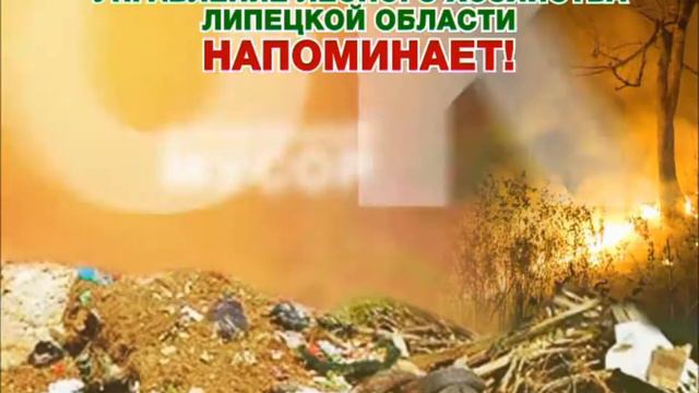 Социальный видеоролик Управления лесного хозяйства Липецкой области смотреть онлайн