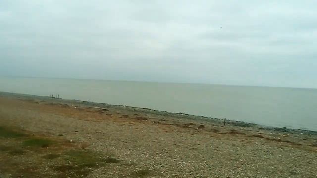 Приморско-Ахтарск 6 ноября 2017г. смотреть онлайн