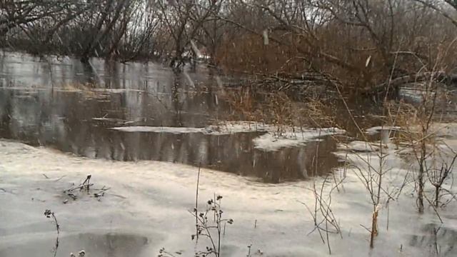 Разлив реки Осередь,г.Бутурлиновка.ул.Коммунистическая смотреть онлайн