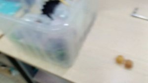 Восстановление старого мотороллера Вятка ВП-150М ч.5 Карбюратор