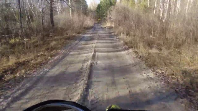 Гоняюсь в тайге за глухарями. смотреть онлайн