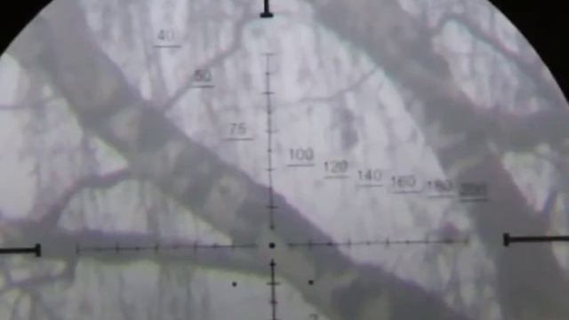Видеонасадка на прицел. Ничего сложного. смотреть онлайн