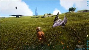 Как приручить Эквуса .  Ark: Survival Evolved. ГАЙД