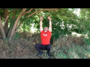 Подтягивания вертикальные на TRX-петлях: техника и нюансы