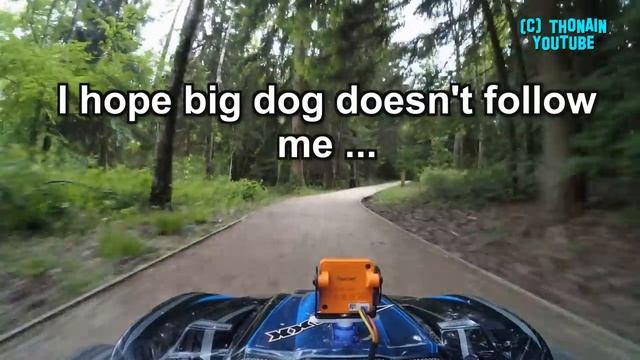 PRANKS RC CAR TRAXXAS X-MAXX FPV - DOG PURSUIT... VIDEO GAG - MONSTER TRUCKS смотреть онлайн