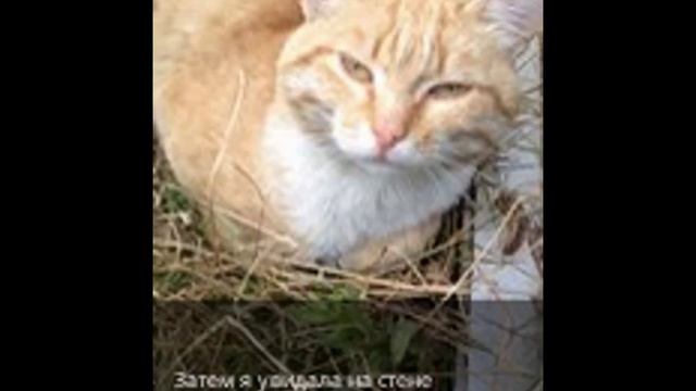 мой дом смотреть онлайн