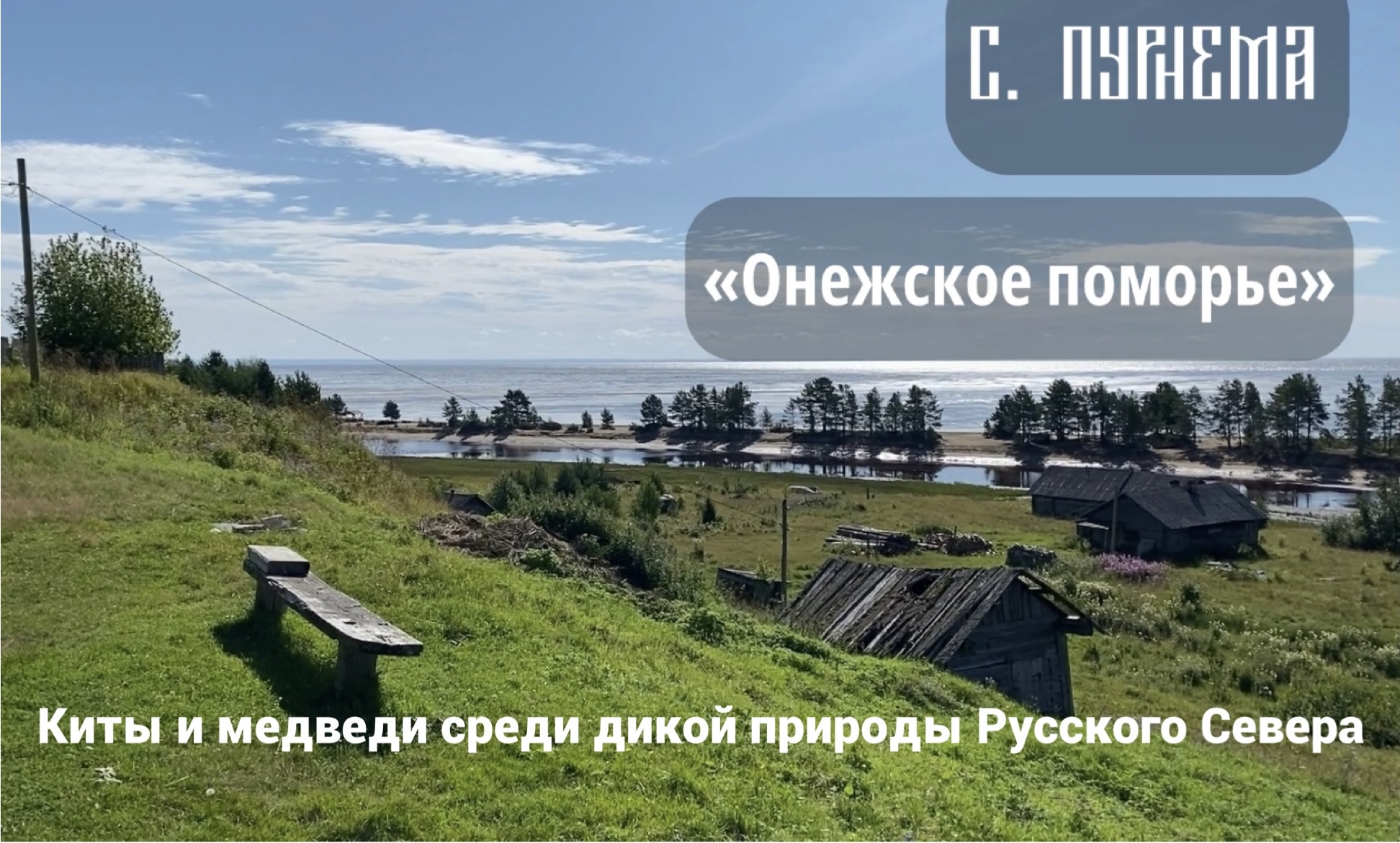 Село Пурнема на Белом море в Архангельской области | Медведи, киты и птицы из Красной книги