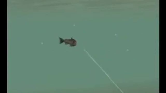 Reel Fishing Angler's Dream Wii Gameplay Trailer смотреть онлайн