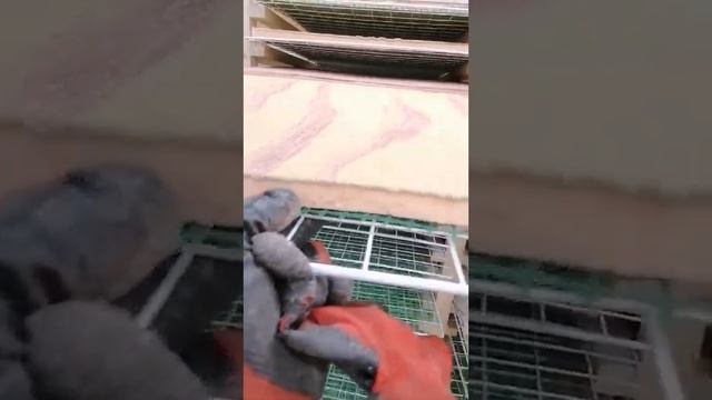 Производство гибкого камня